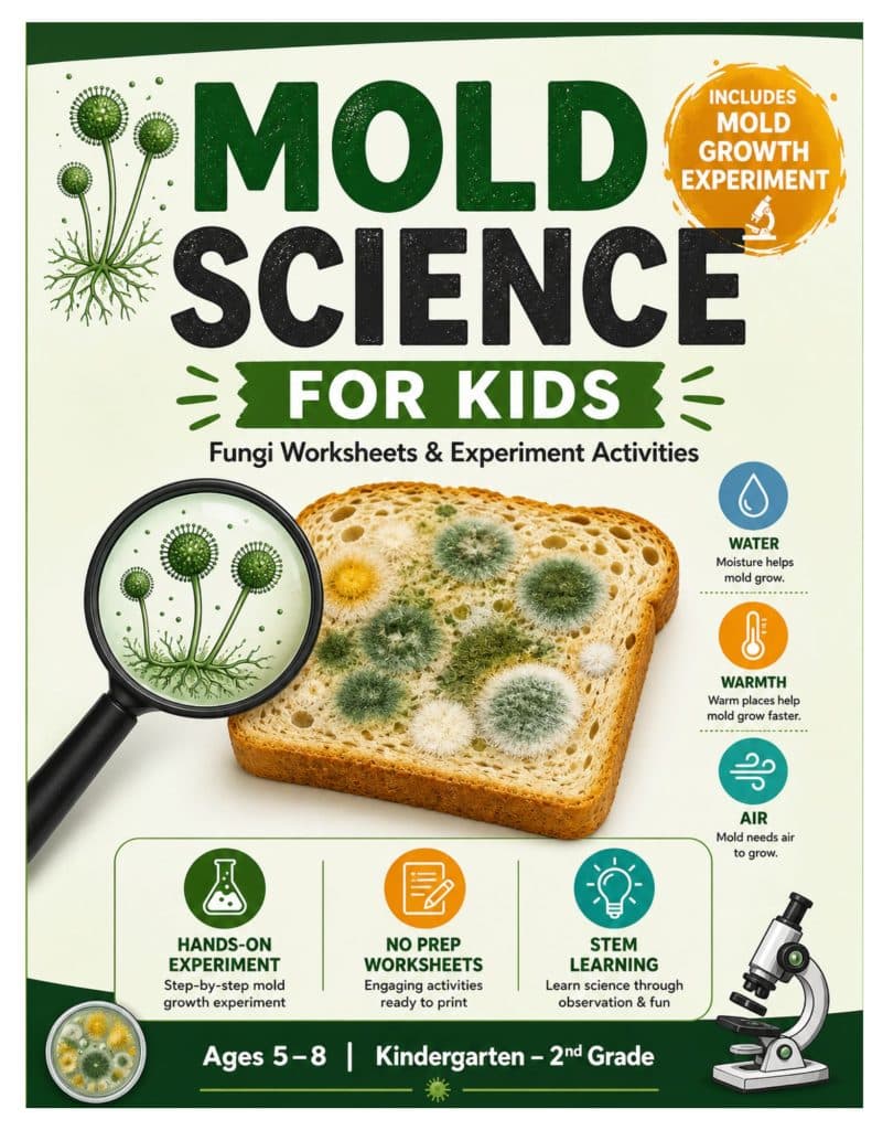 Cover of "Mold Science for Kids" educational resource featuring fungi worksheets and experiment activities. The central image shows a slice of moldy bread with green and white mold spots, zoomed in through a magnifying glass to show spores. Three circular icons on the right illustrate factors for mold growth: water, warmth, and air. The bottom section includes icons for hands-on experiments, no-prep worksheets, and STEM learning. Text at the bottom indicates the target age group: "Ages 5–8 | Kindergarten – 2nd Grade".