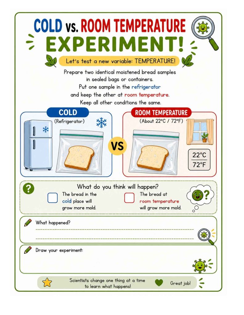 Set Up a Controlled Bread Mold Experiment at Different Temperatures