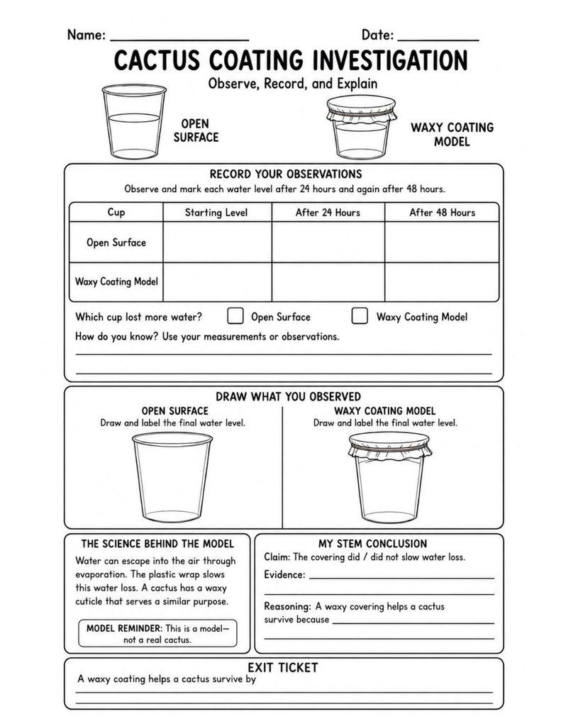 Hands-On Cactus Adaptations STEM Experiment