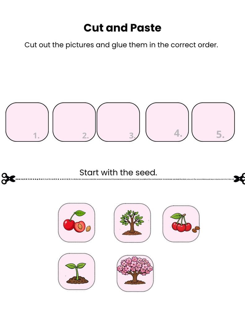 Cherry tree life cycle cut and paste worksheet for Grades 2–3 with seed, sprout, young tree, flowering tree, and cherry fruit