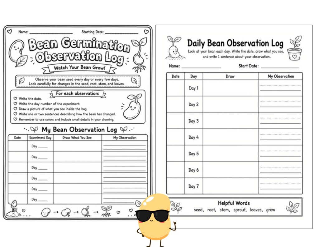 Two black-and-white bean germination observation worksheets featuring daily drawing and writing logs, plant vocabulary, and a playful cartoon bean character wearing sunglasses.
