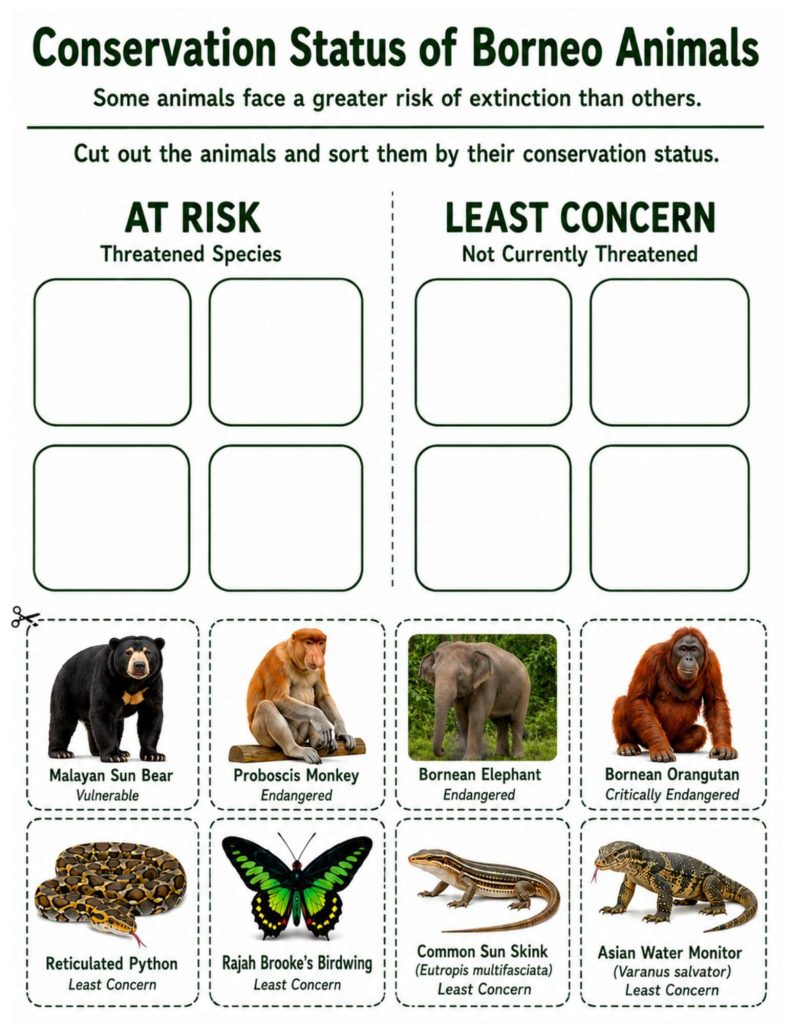 An educational sorting worksheet titled "Conservation Status of Borneo Animals." The top section is divided by a dotted line into two categories, each with four blank squares: "AT RISK (Threatened Species)" and "LEAST CONCERN (Not Currently Threatened)." The bottom half features eight dotted cutout cards with pictures of animals and their specific statuses, such as Malayan Sun Bear (Vulnerable) and Bornean Orangutan (Critically Endangered).