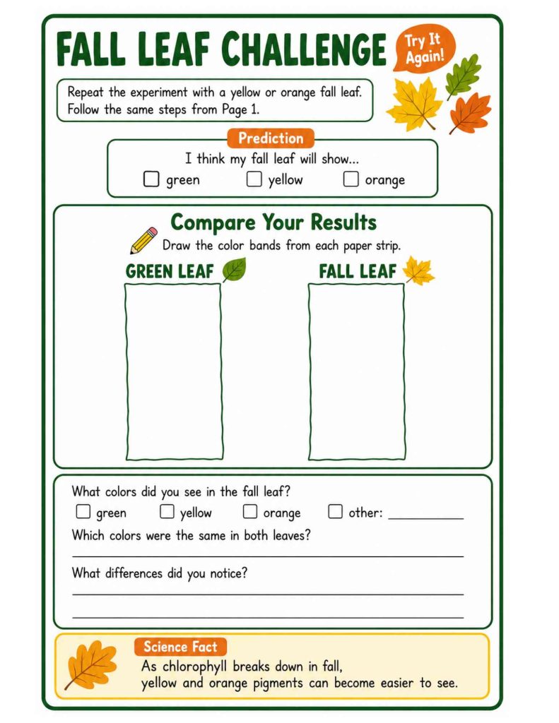 Teacher and Grade 2–3 students doing a leaf chromatography experiment with green leaves and paper strips