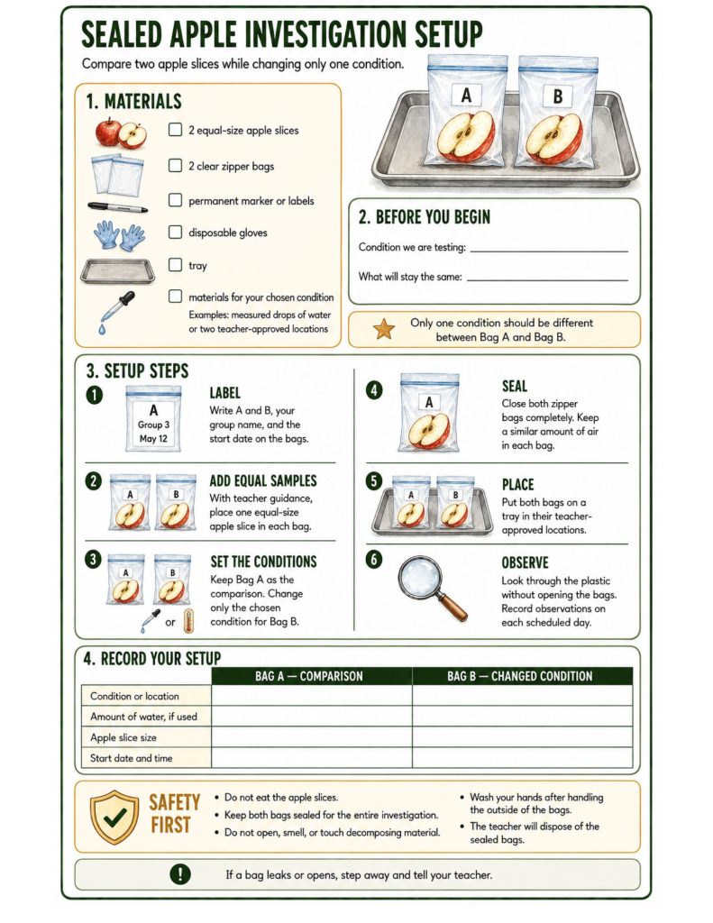 Sealed apple investigation worksheet showing materials, setup steps, two comparison bags labeled A and B, a data table, and classroom safety rules.