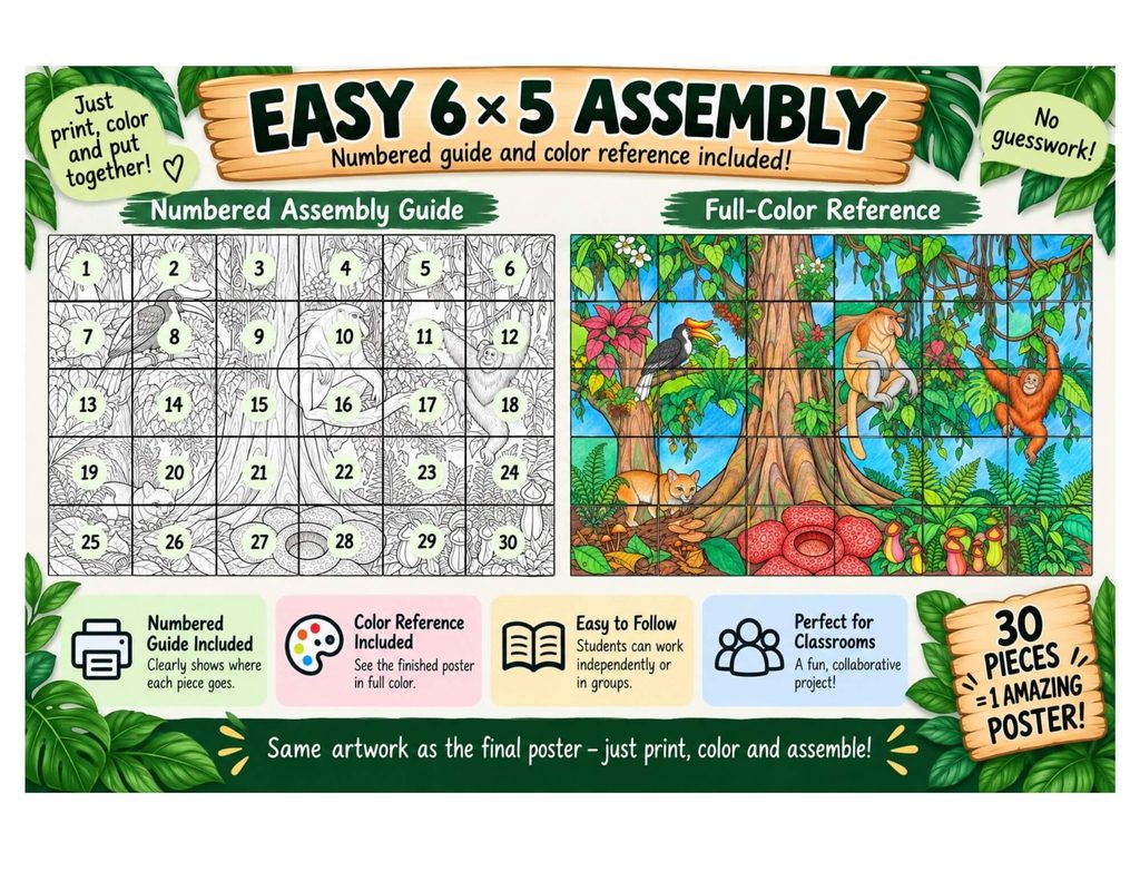 Borneo rainforest animal coloring pages featuring hornbill, proboscis monkey, orangutan and rainforest plants