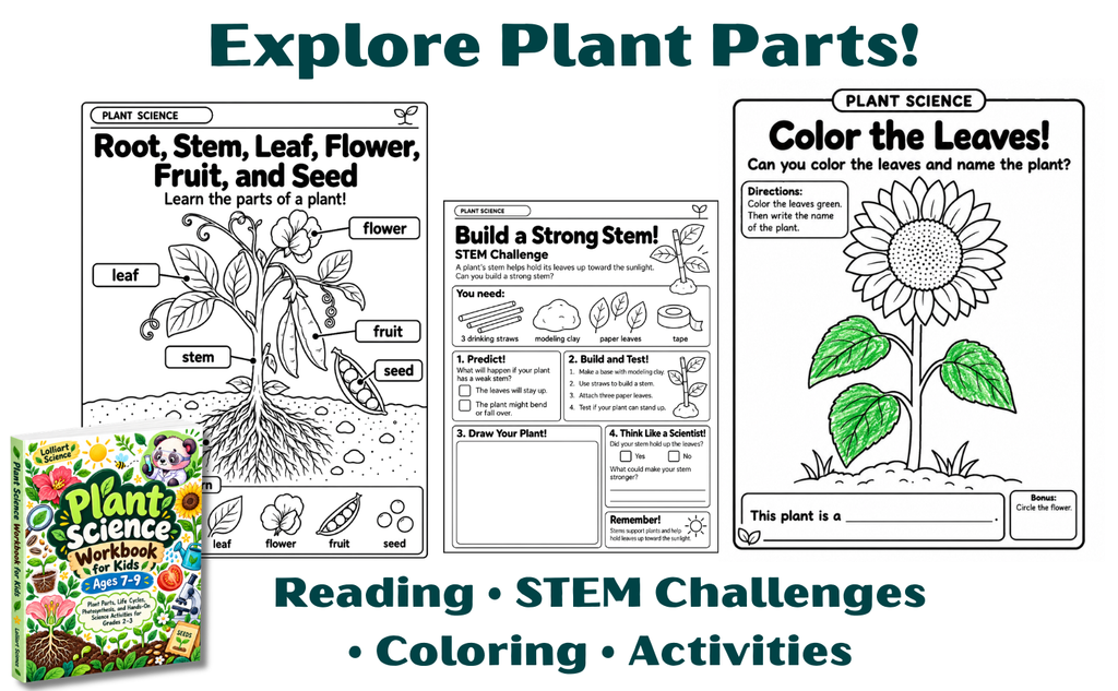 Learning what plants need to grow is one of the first steps toward understanding the amazing world of plants.

