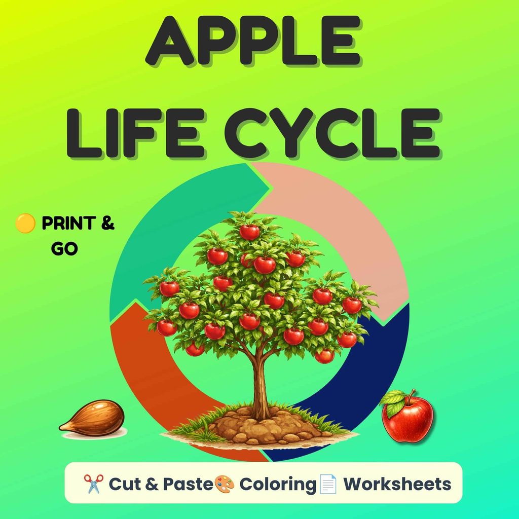 Apple life cycle printable worksheets cover for kids featuring an apple tree, seed, apple, and life cycle arrows with cut-and-paste and coloring activities.