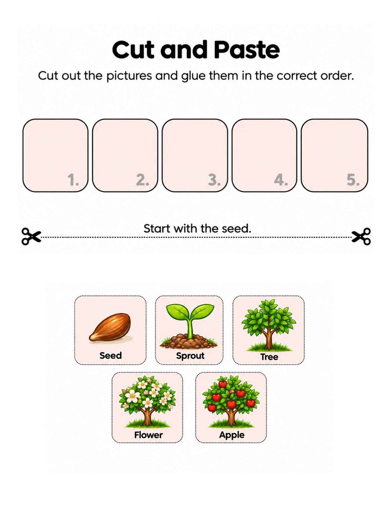 Apple life cycle cut-and-paste worksheet for kids with seed, sprout, tree, flower, and apple sequencing pictures.
