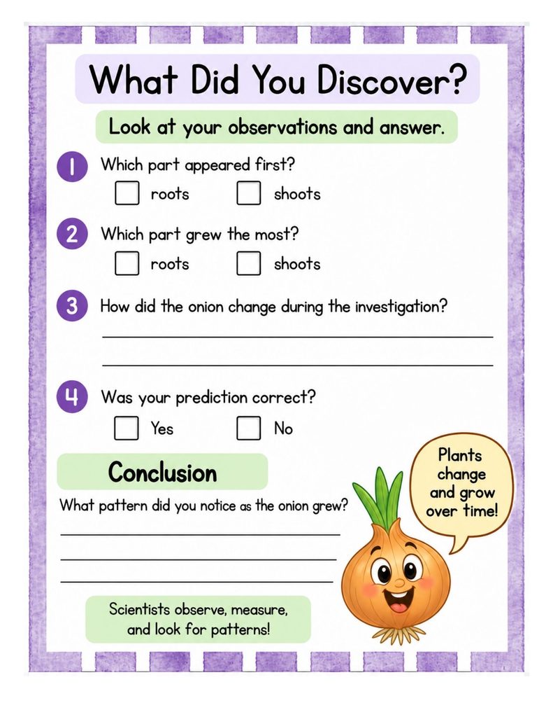 Onion growth observation worksheet for measuring roots and shoots
