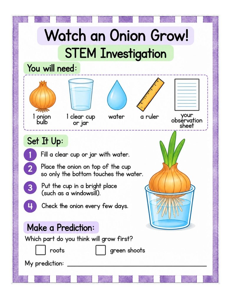 Onion growth experiment for kids with onion bulb growing roots in water