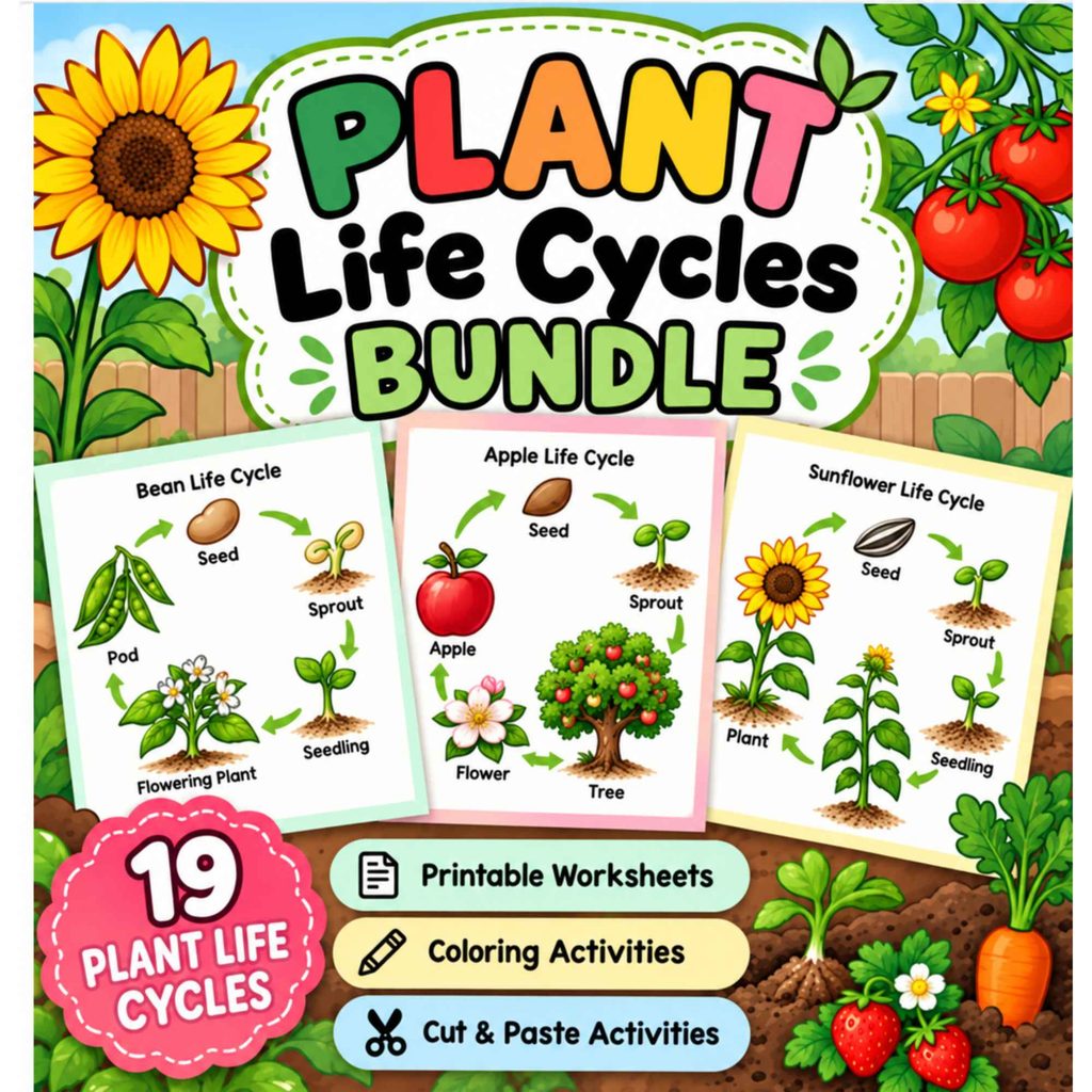 Plant Life Cycles Bundle for elementary science featuring 19 printable plant life cycle worksheets, coloring activities, and cut-and-paste pages for bean, apple, sunflower, and other plants.