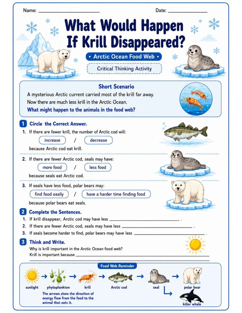 What Would Happen If Krill Disappeared? Arctic Ocean food web critical thinking worksheet for Grades 2–3 with Arctic cod, seal, polar bear, and food chain cause-and-effect questions.